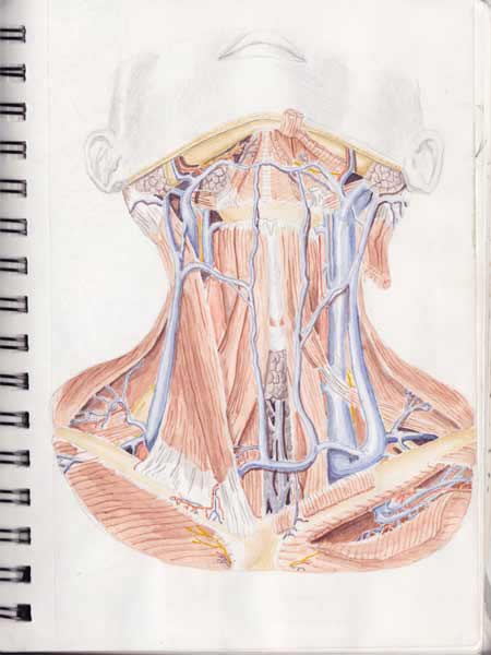 Figure study in watercolour.