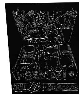 Still Life with a Suitcase